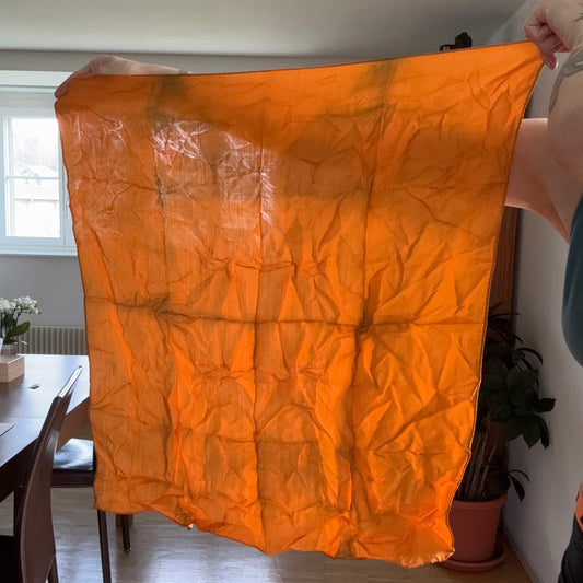 Vintage Orange Foulard | Bern