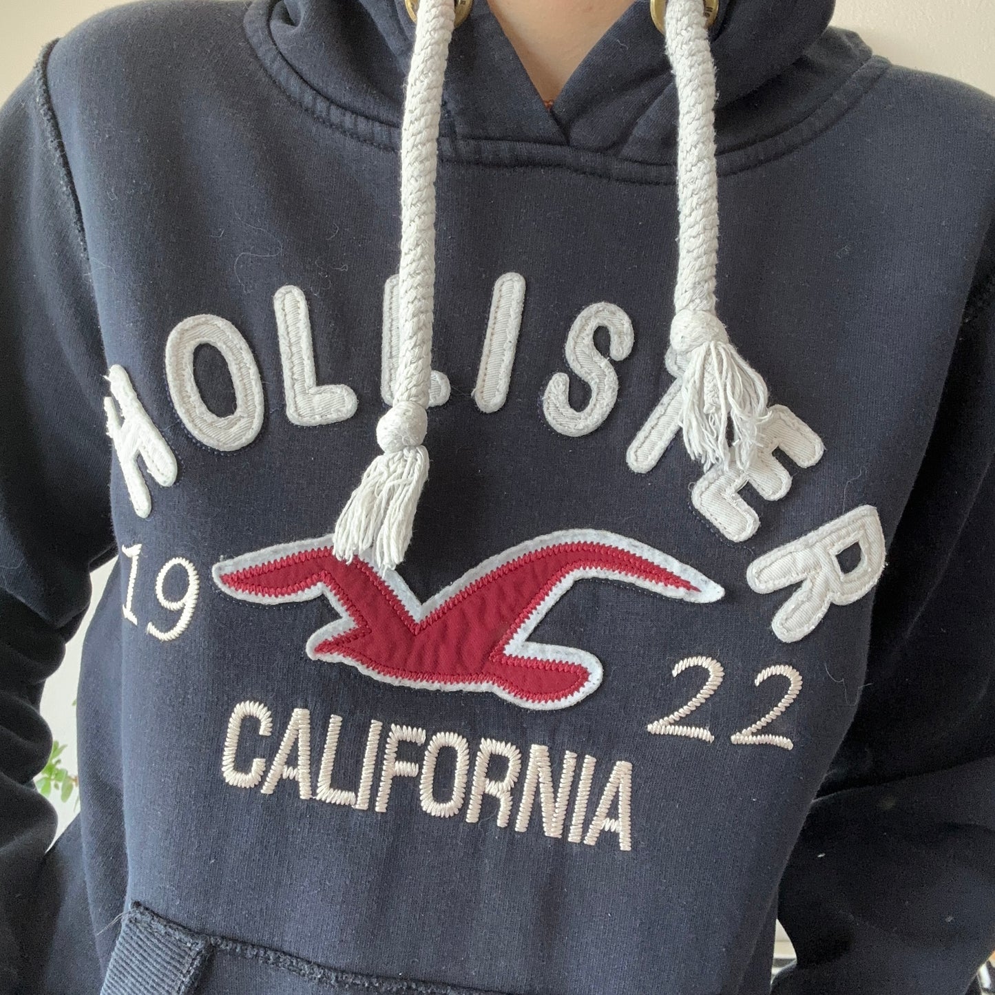 Darkblue Hollister Hoodie | Bern