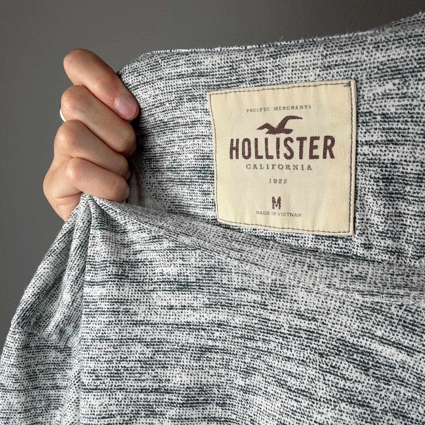 Graues Hollister-Shirt | Bern