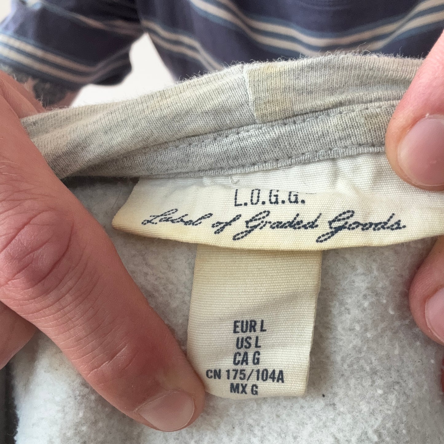 Gray Harvard Hoodie | Bern