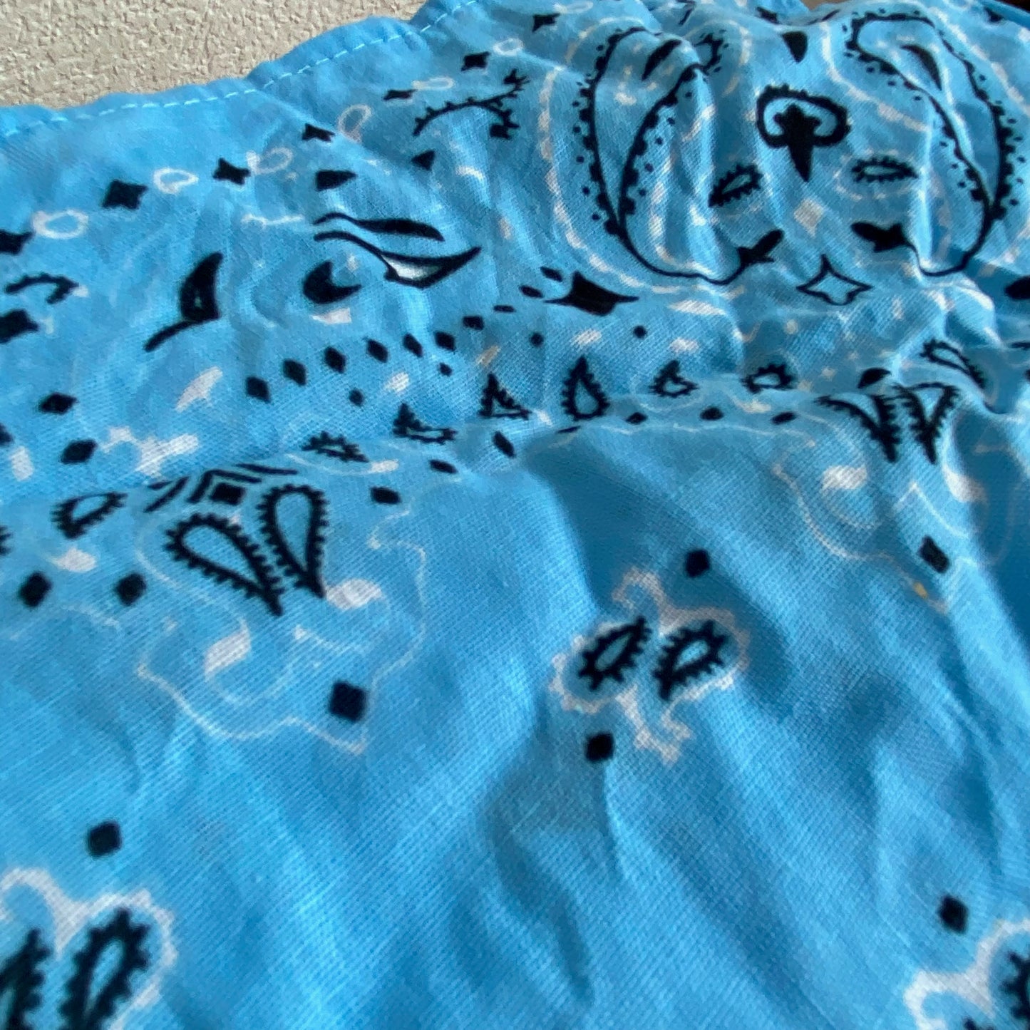 Blue Bandana