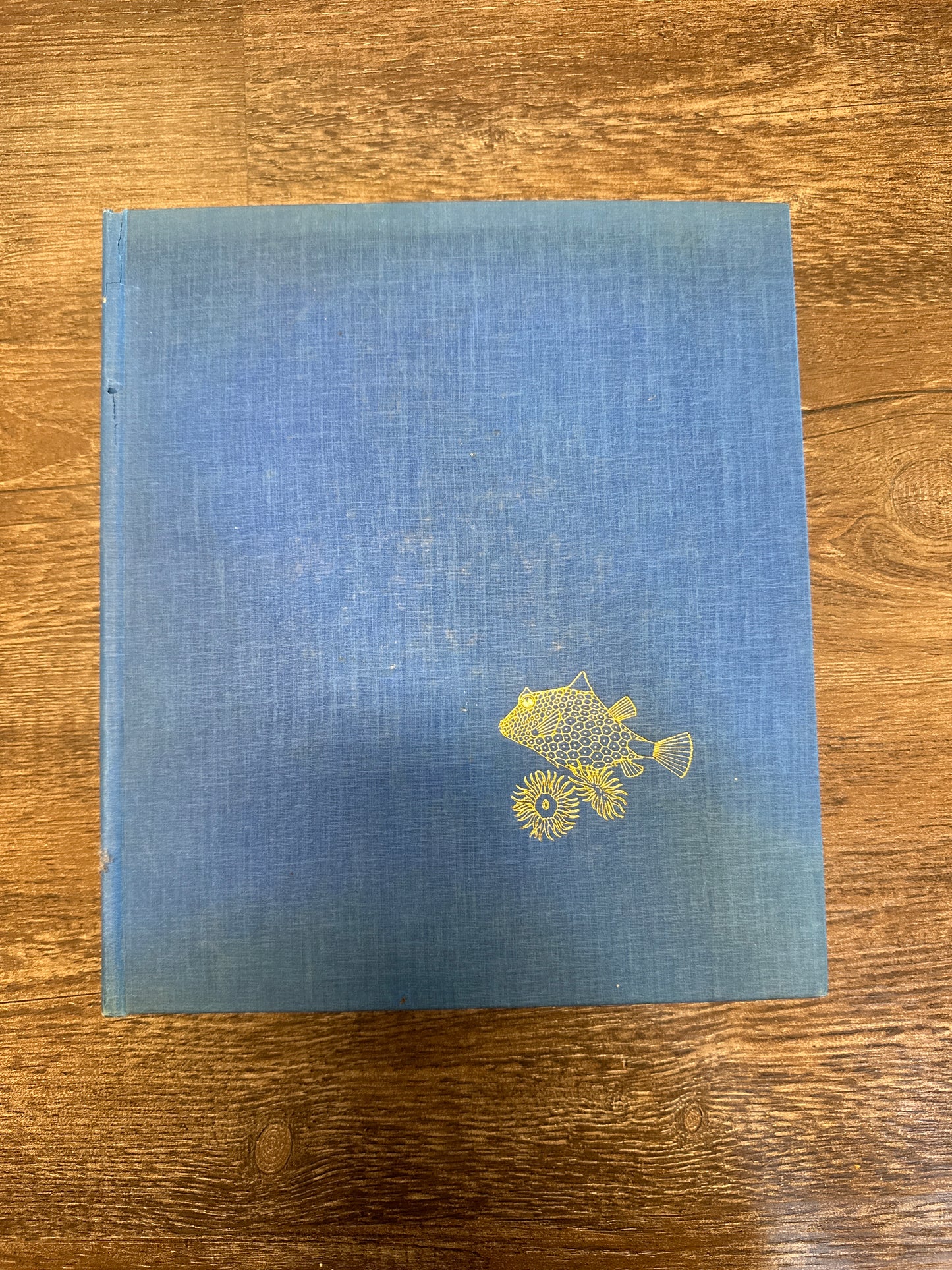 Vintage Book