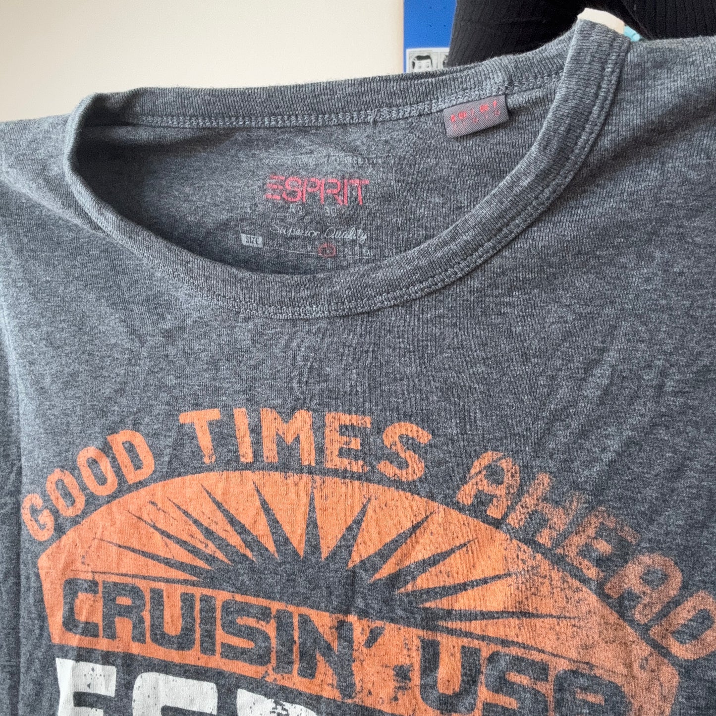 Gray Shirt with Front Print | Bern