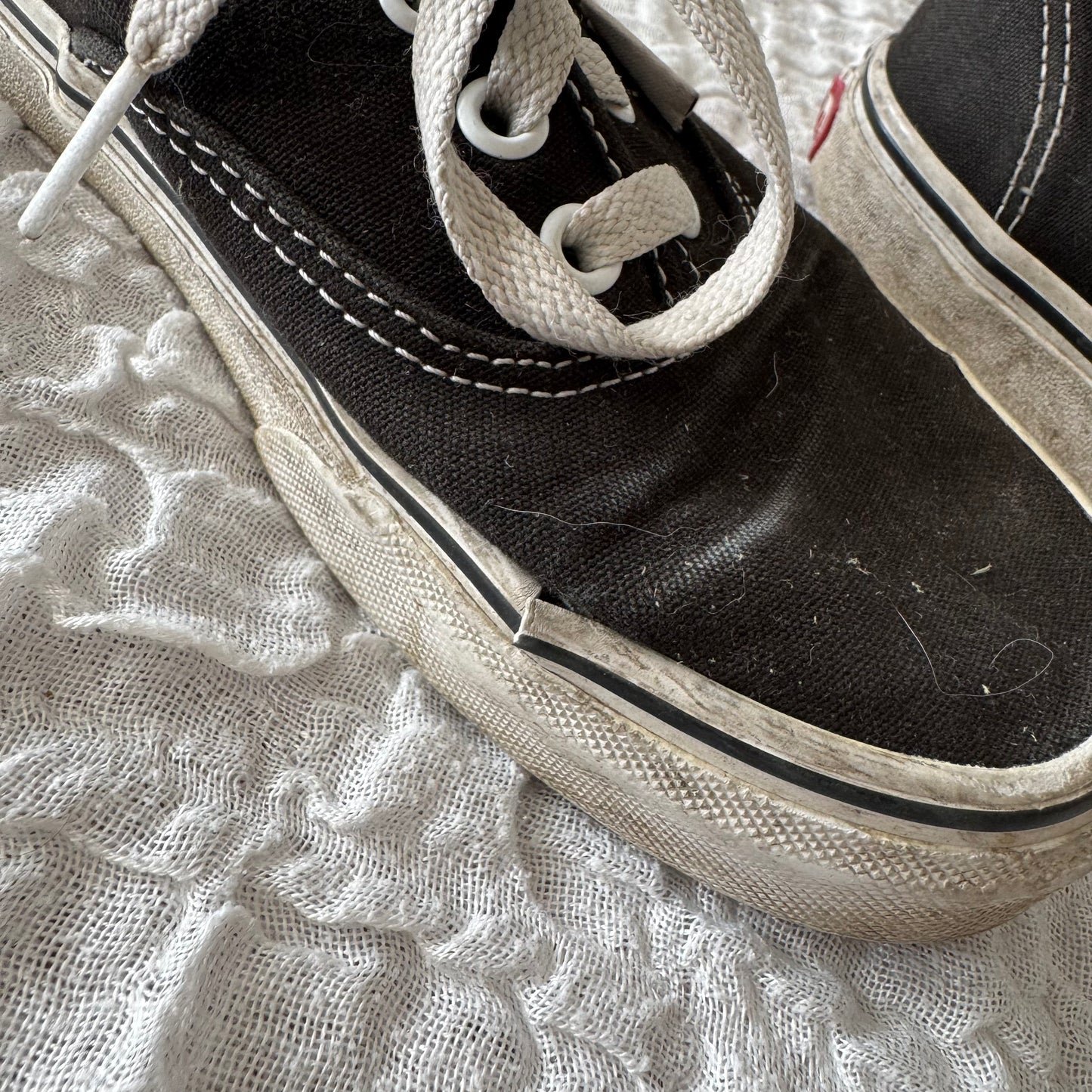 Black Vans | Bern