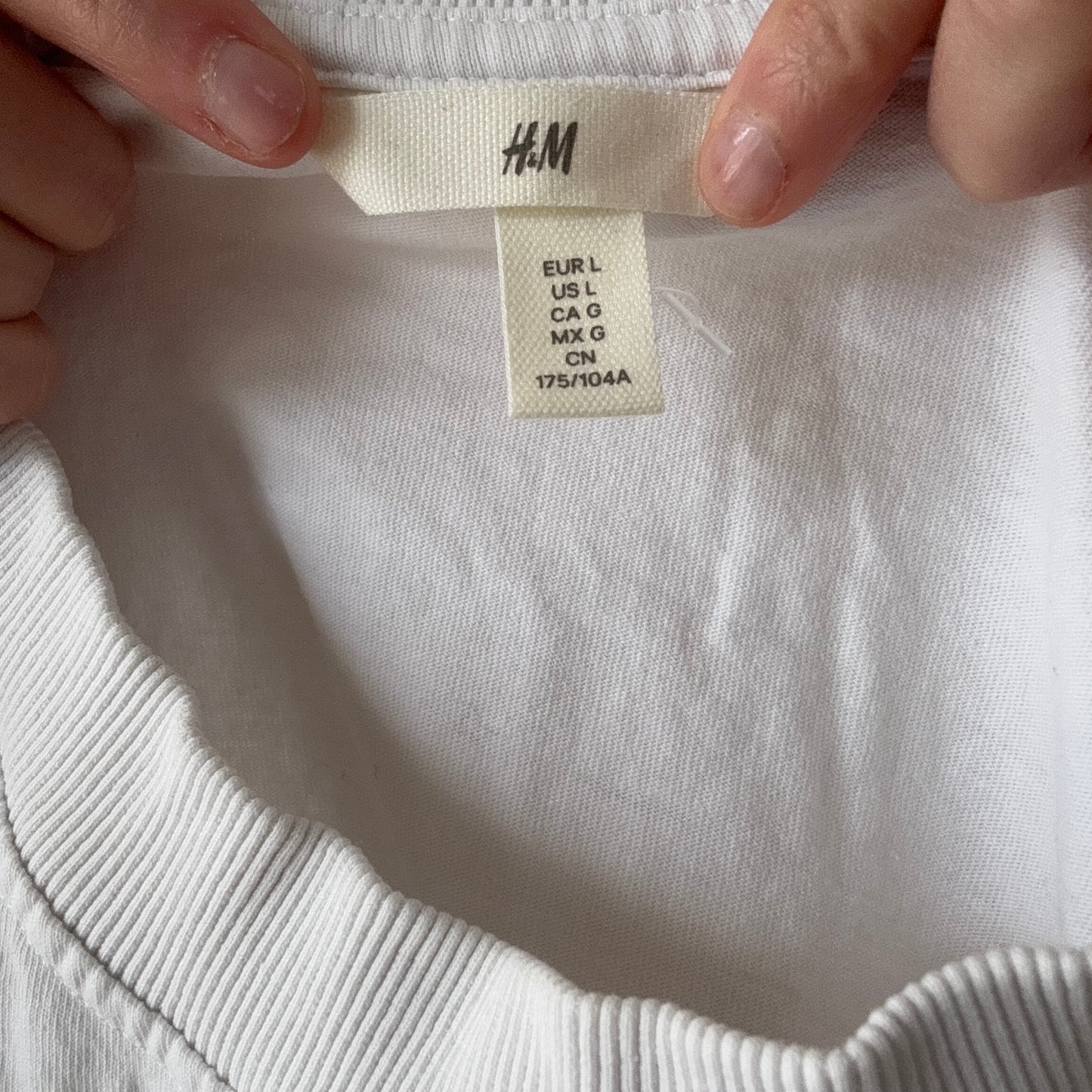 White Shirt | Bern
