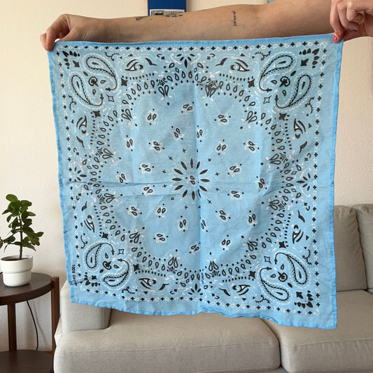 Blue Bandana