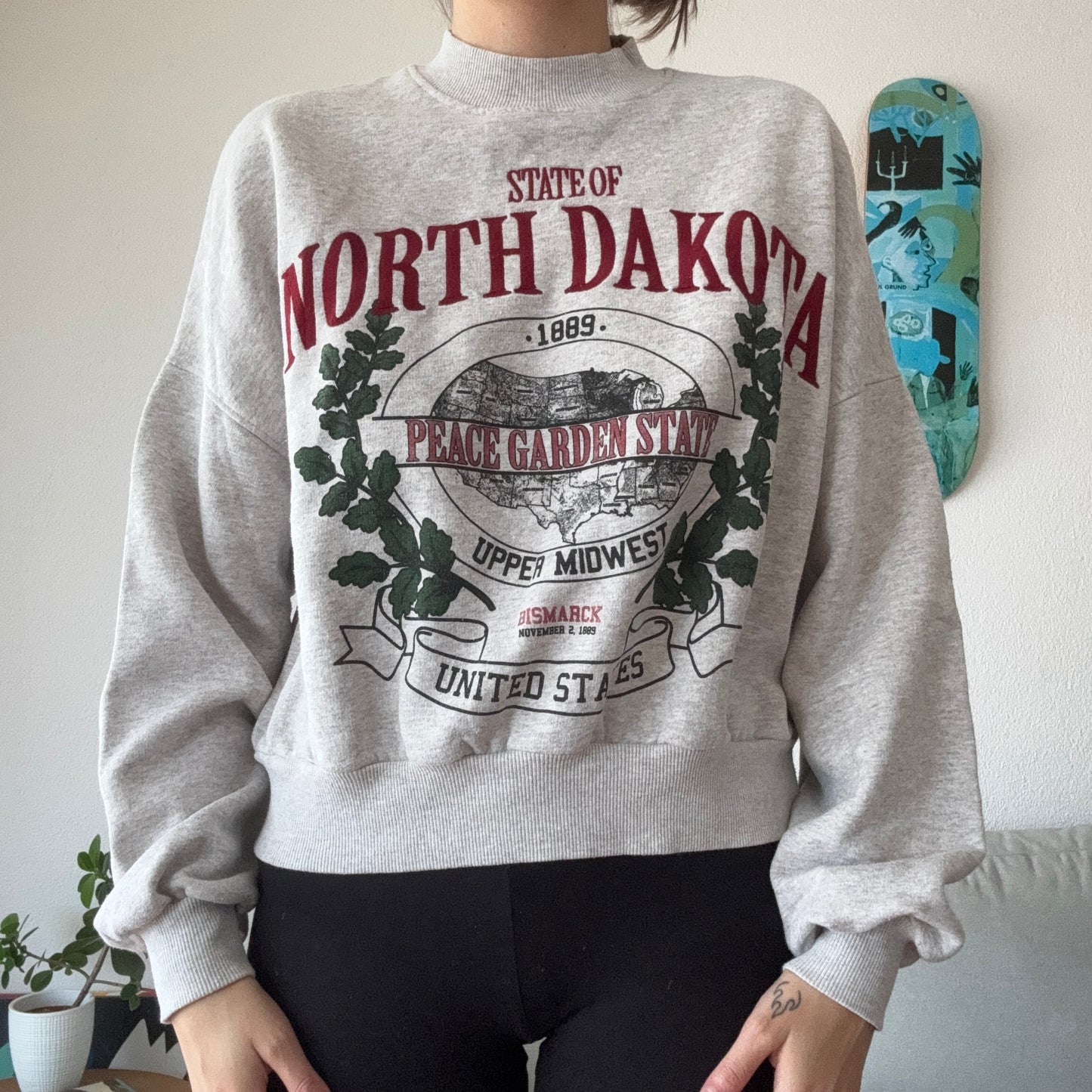 Pull gris avec imprimé sur le devant