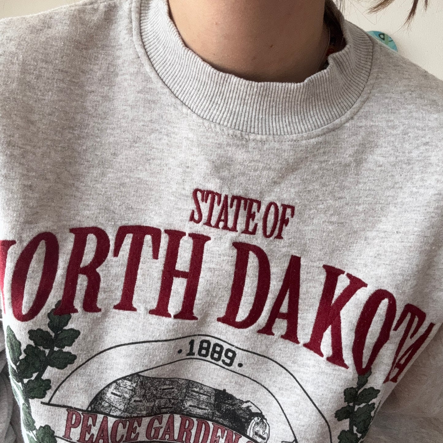 Pull gris avec imprimé sur le devant