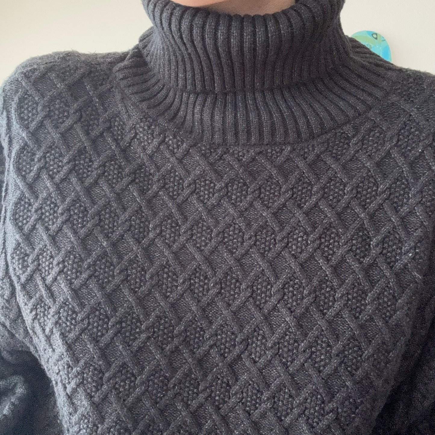 Black Knit Turtleneck Longsleeve | Bern