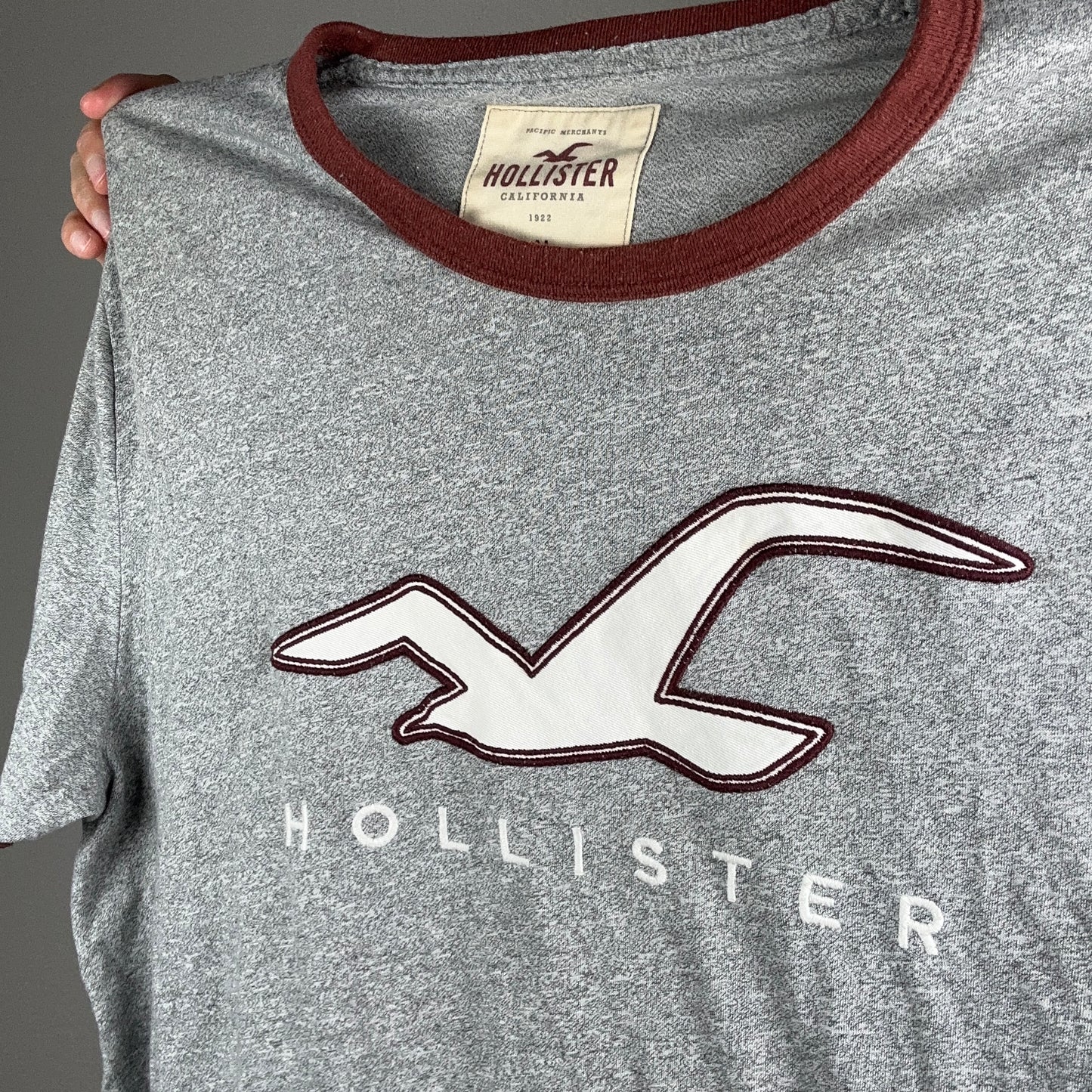 Gray Hollister Shirt