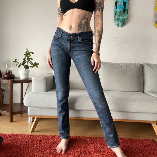 Blue Low Rise Jeans | Bern