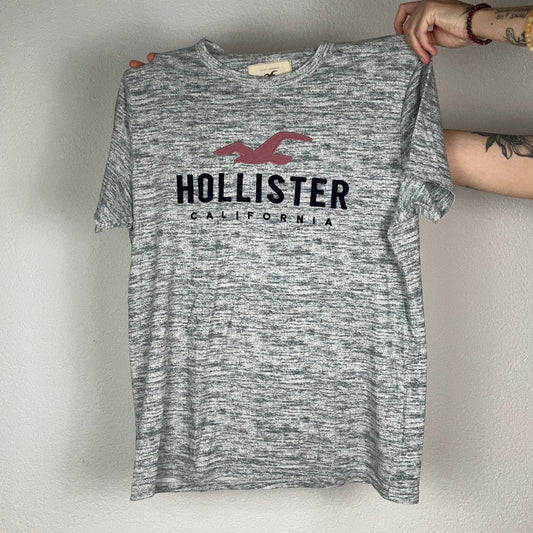 Gray Hollister Shirt | Bern