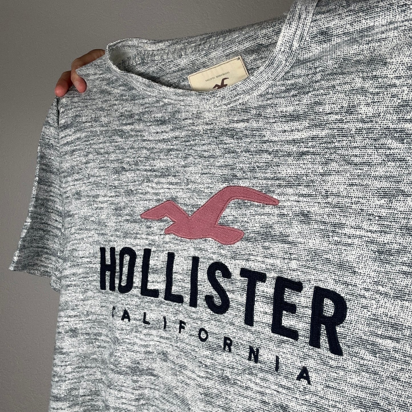 Gray Hollister Shirt | Bern