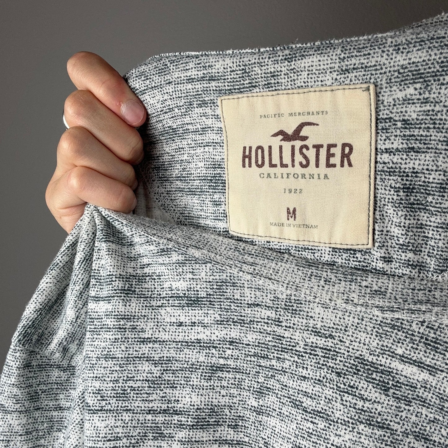 Gray Hollister Shirt | Bern