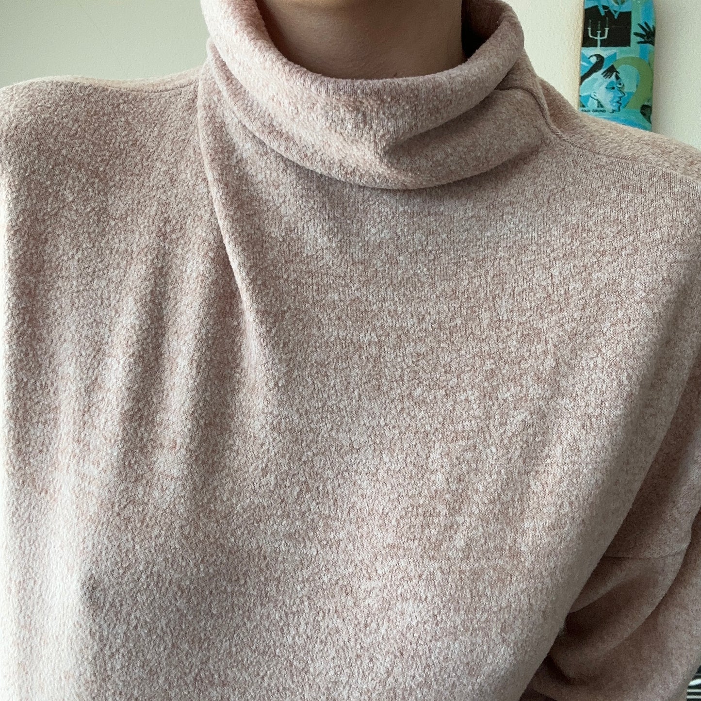 Pink Turtleneck Longsleeve | Bern