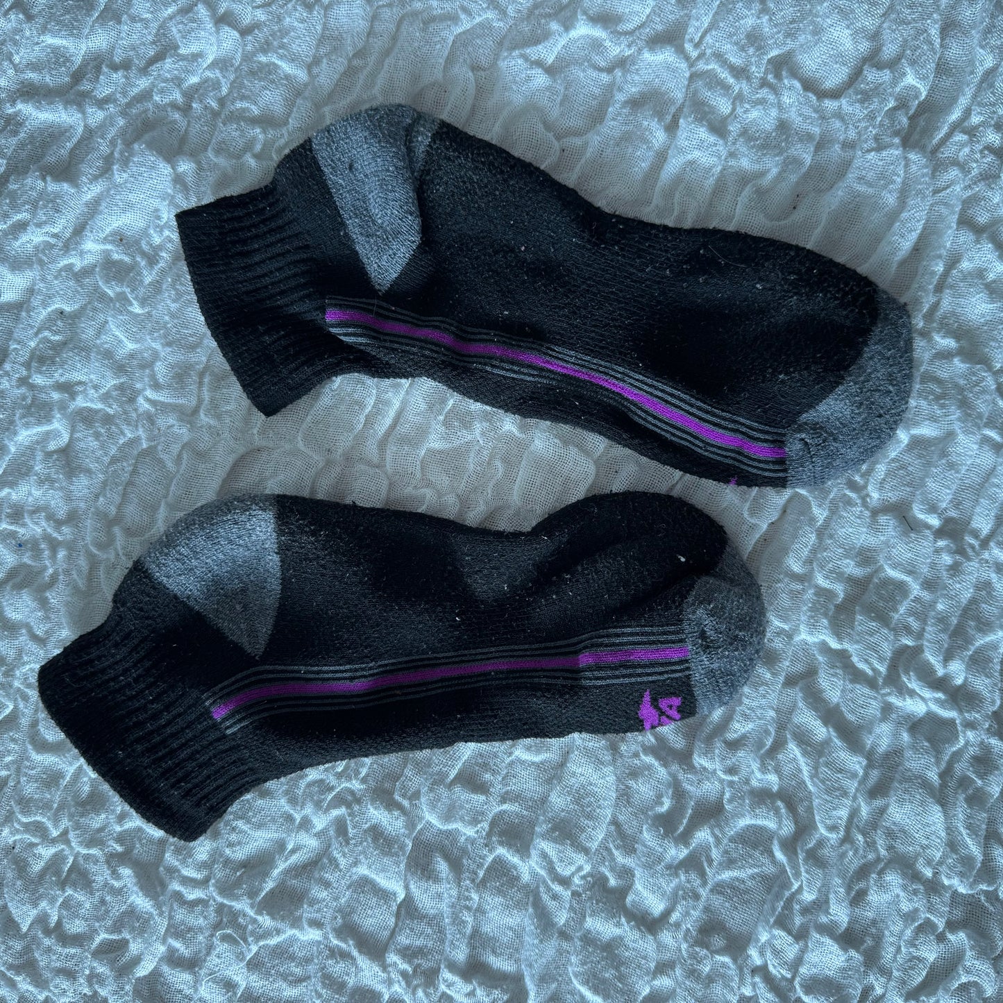 Black Socks with purple stripe