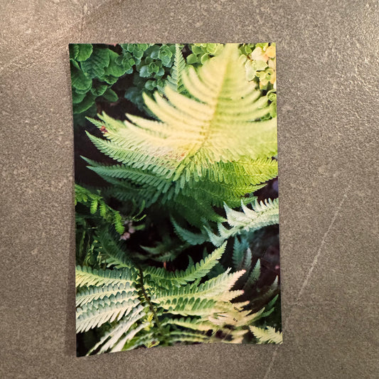 Print 19 cm x 13 cm