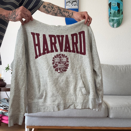 Gray Harvard Hoodie | Bern