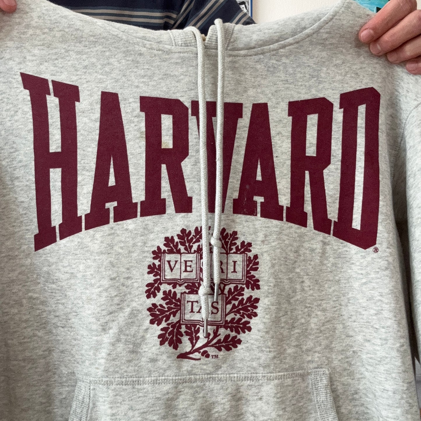 Gray Harvard Hoodie | Bern