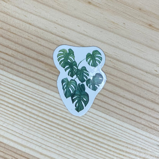 Plant Sticker