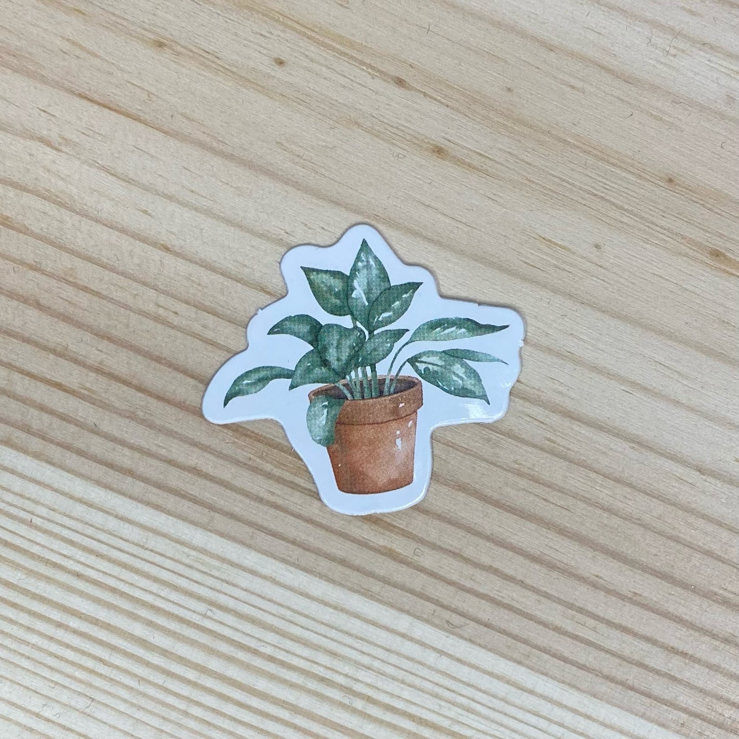 Plant Sticker